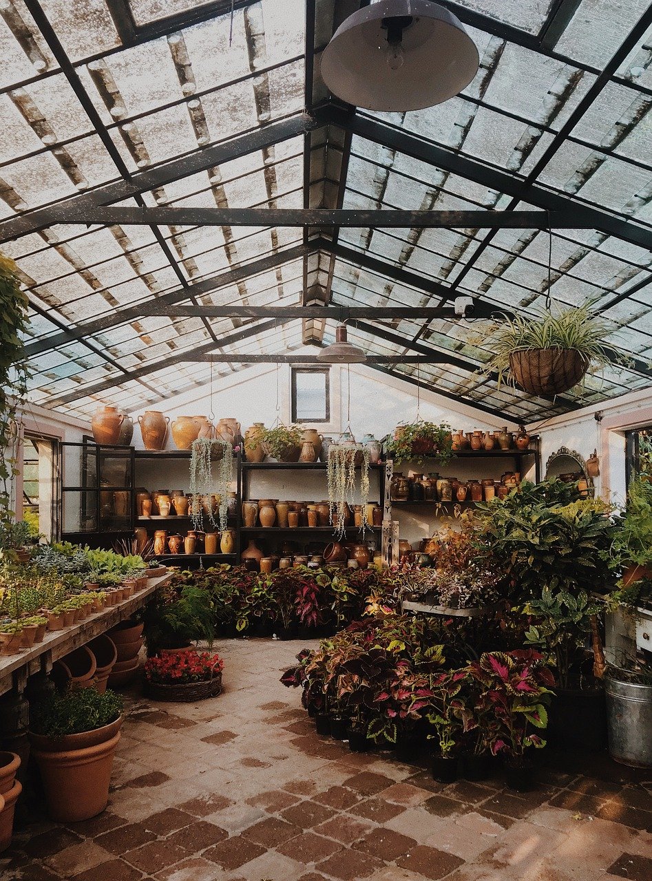 greenhouse photo